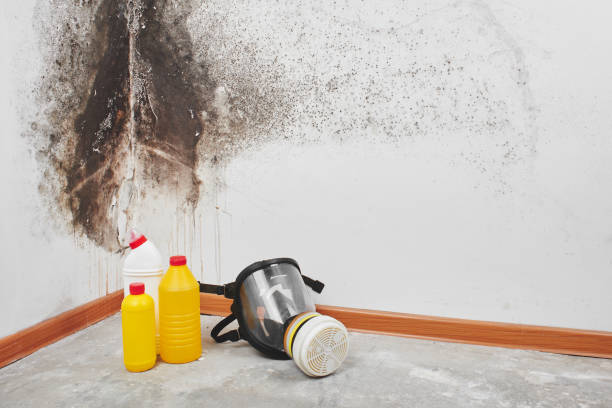 Best Residential Mold Removal  in Onancock, VA