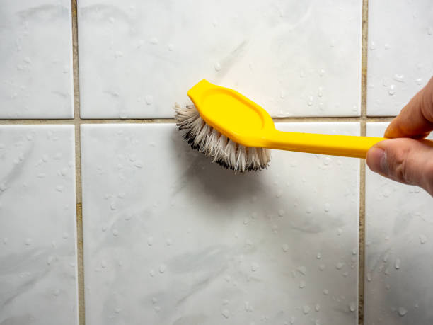 Trusted Onancock, VA Mold Removal Experts