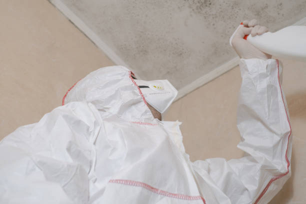 Best Affordable Mold Removal  in Onancock, VA