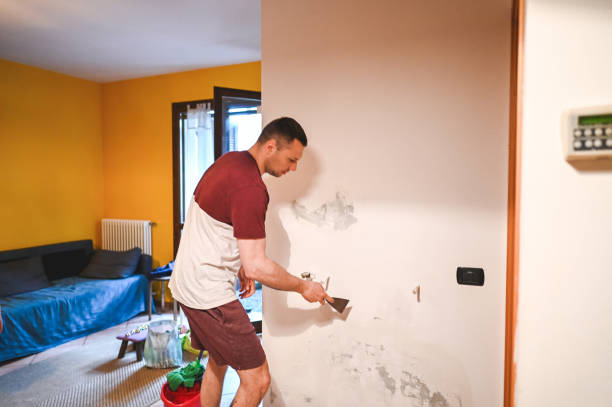 Best Fast Mold Removal  in Onancock, VA