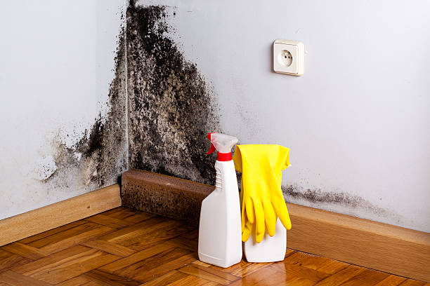 Best Crawl Space Mold Removal  in Onancock, VA